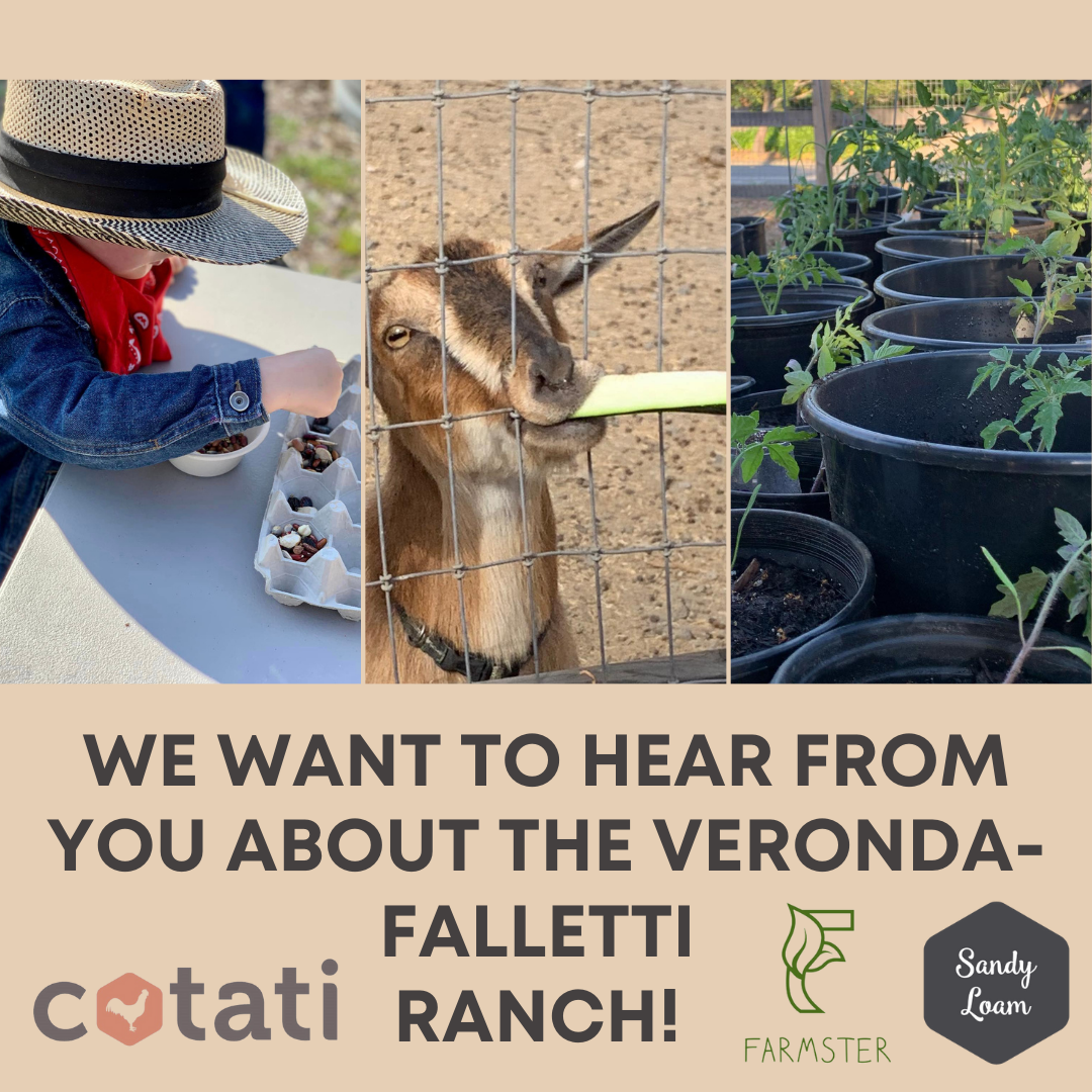 we want to hear from you!