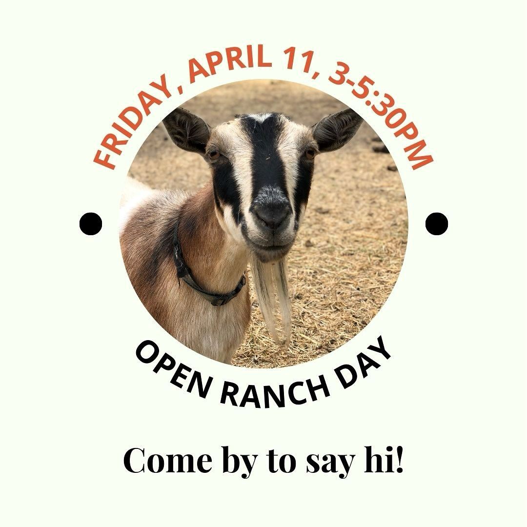 Free Open Ranch Day