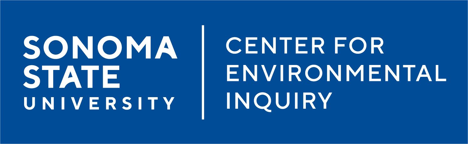 CEI Logo 2021 horiz external