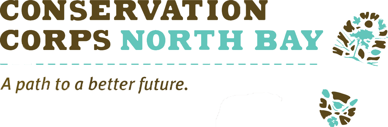 PNG Logo transparent