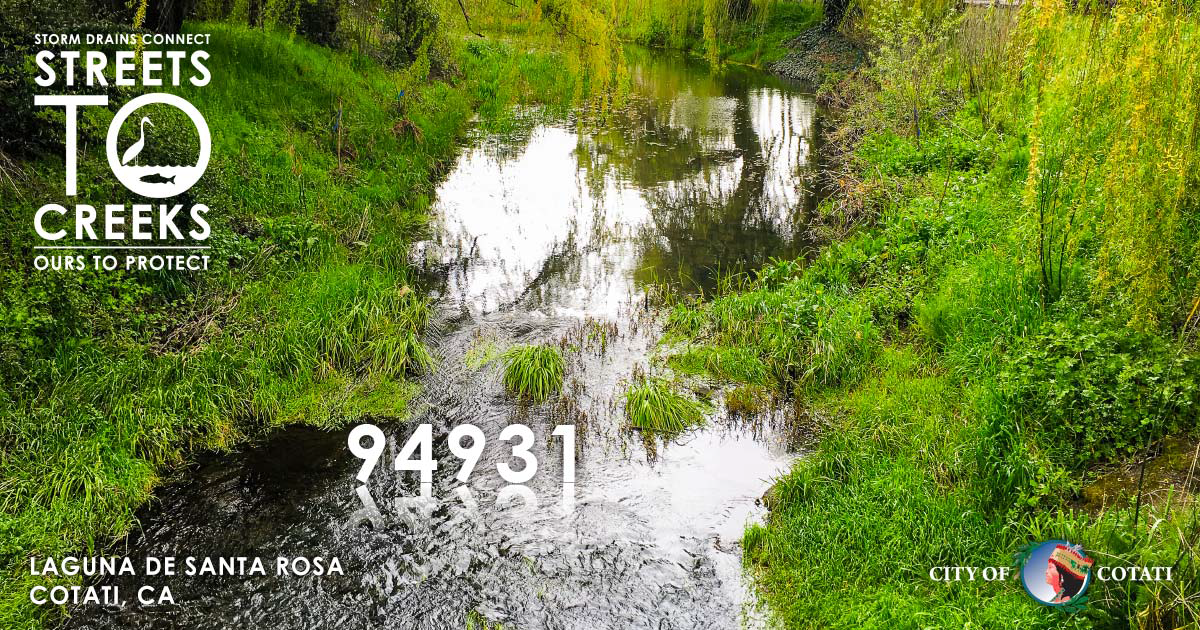 Storm Drain Connect Streets To Creeks, Ours to Protect